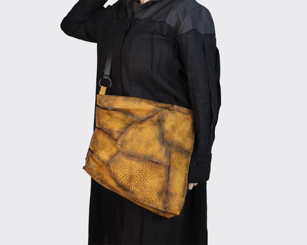 Poseta Dama Misty Horizon